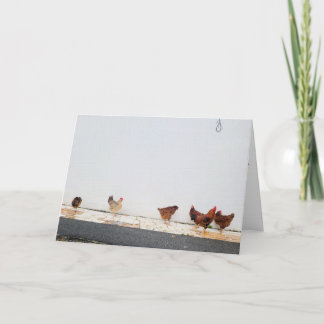 Carte Ne comptez pas les poussins
