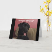 Carte NE CROYEZ PAS QUE VOUS CÉLÉBREZ "20ème" ANNIVERSAI (Fleur jaune)