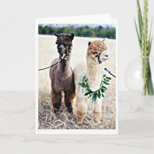 Carte NE CROYEZ PAS QUE VOUS CÉLÉBREZ "40ème" ANNIVERSAI