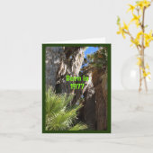 Carte Né en 1977 Anniversaire Fun Facts (Fleur jaune)