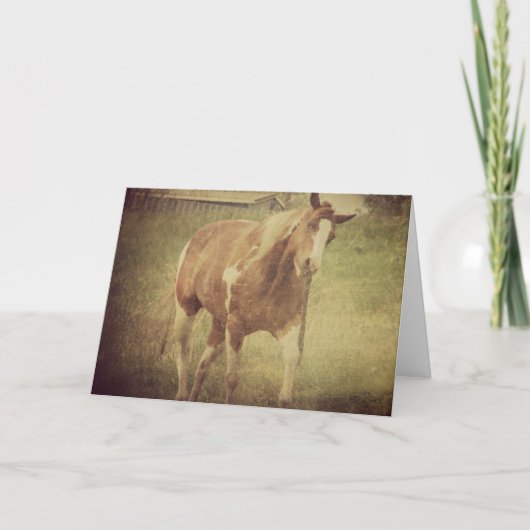 Carte Ne me bourre pas, Cheval de Peinture Shakes Head (Devant)