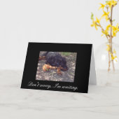 Carte Ne m'inquiétez pas attends (Fleur jaune)