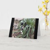 CARTE NE PAS SE CACHER DE LA VÉRITÉ "MEILLEURE NIÈCE" AU (Fleur jaune)