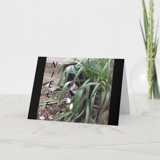 CARTE NE PAS SE CACHER DE LA VÉRITÉ "MEILLEURE NIÈCE" AU (Devant)