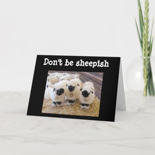CARTE NE SOIS PAS "SHEEPISH" À "60" DIT SHEEP ! ! ! (Devant)