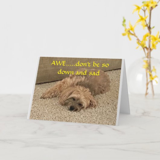 CARTE **NE SOYEZ PAS TRISTE D'ÊTRE PLUS ÂGÉ** (Fleur jaune)