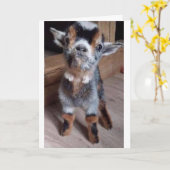 Carte NE VOUS INQUIÈTEZ PAS ET AVEZ UN "JEUX 50ème ANNIV (Fleur jaune)