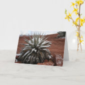 Carte Neige de ressort dans Sedona (Fleur jaune)