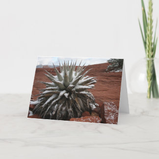 Carte Neige de ressort dans Sedona
