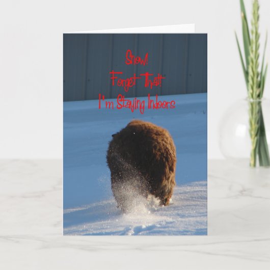 Carte Neige! Oubliez Ça ! Je reste à l'intérieur, les mo (Devant)