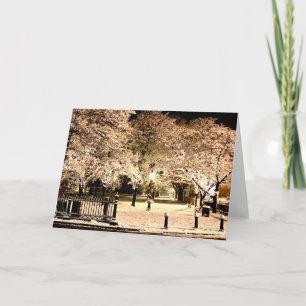 Carte Neige Salem Common Massachusetts Photo