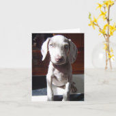 Carte NelsonTheDog (Fleur jaune)
