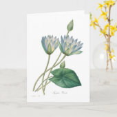 Carte Nénuphar bleu (Fleur jaune)