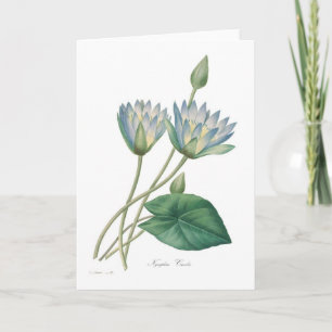 Carte Nénuphar bleu