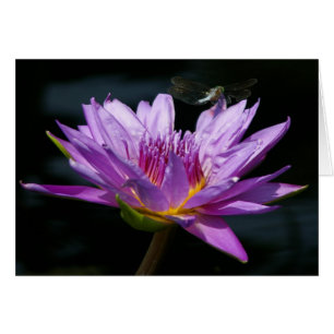 Carte Nénuphar et dragonfly violet Lotus