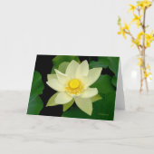 Carte Nénuphar flottant jaune pâle (Fleur jaune)