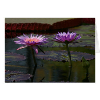 Carte Nénuphar Purple Lotus