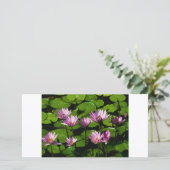 Carte Nénuphars (Debout devant)