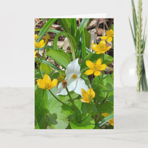 Carte Nénuphars et Trillium d'anniversaire