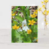 Carte Nénuphars et Trillium d'anniversaire (Fleur jaune)