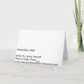 Carte Nénuphars, Sharon CT (Dos)