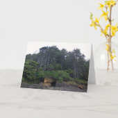 Carte Neptune State Park, OU (Fleur jaune)