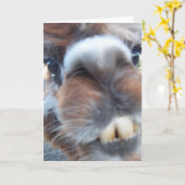 Carte Nerdy Llama (Fleur jaune)