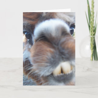 Carte Nerdy Llama