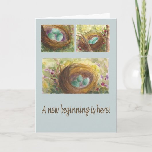 Carte Nest blue eggs Robin's nest spring new beginnings (Devant)