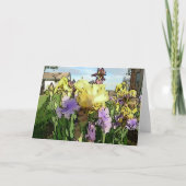 Carte New Day Gardens Notecard-iris 'Edith Wolford' W (Devant)
