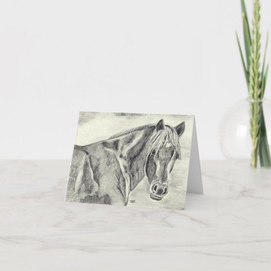Carte New Forest Pony (a237) (Devant)