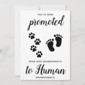 Carte New Grandparents Pregnancy Announcement Card (Devant)