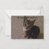 Carte New Kitten (Devant)