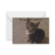 Carte New Kitten
