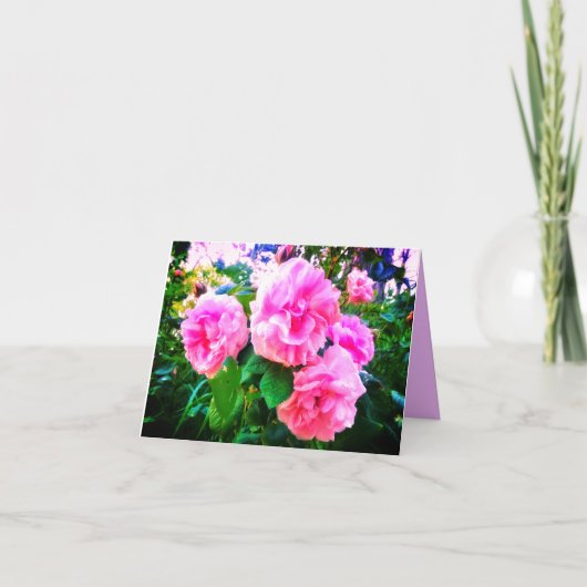 CARTE NEW! PINK ROSES GREETING CARD (Devant)