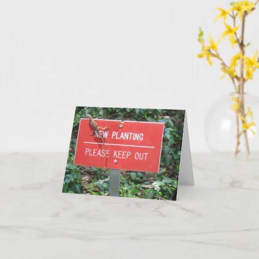 Carte New Planting with Gecko Note Card (Fleur jaune)