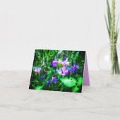 CARTE NEW! WETLAND WILDFLOWERS GREETING CARD (Devant)