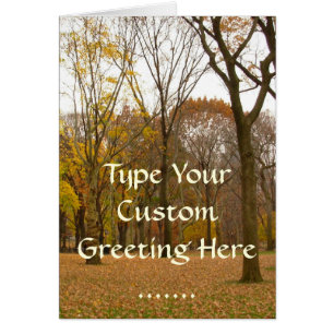 Carte New York Central Park New York Souvenir Card