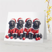 Carte Newfoundland Christmas Dress Santa Hat (Fleur jaune)