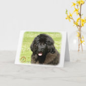 Carte Newfoundland Puppy9T086D-104 (Fleur jaune)