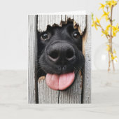 Carte Nez de chien d'anniversaire humoristique (Fleur jaune)