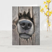 Carte Nez de chien d'anniversaire humoristique (Fleur jaune)