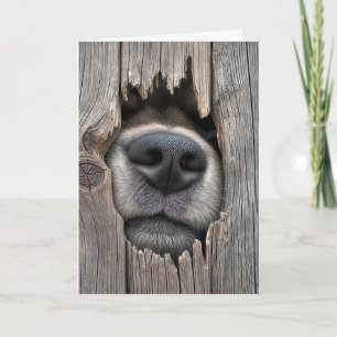 Carte Nez de chien d'anniversaire humoristique