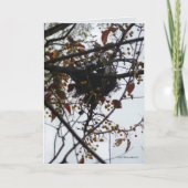 Carte Nid aigre-doux (Devant)