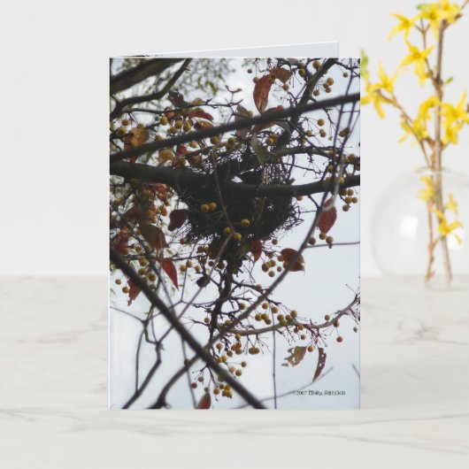 Carte Nid aigre-doux (Fleur jaune)