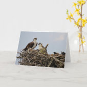 Carte Nid de balbuzard avec le bébé (Fleur jaune)