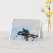 Carte Nid de corbeaux à Ak (Fleur jaune)