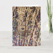 Carte Nid de faune sauvage vierge (Devant)