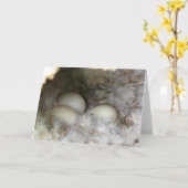 Carte Nid d'oeufs de canard (Fleur jaune)