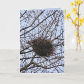 Carte Nid vide (Fleur jaune)